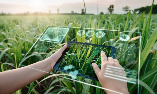 role-of-artificial-intelligence-in-agriculture.jpg